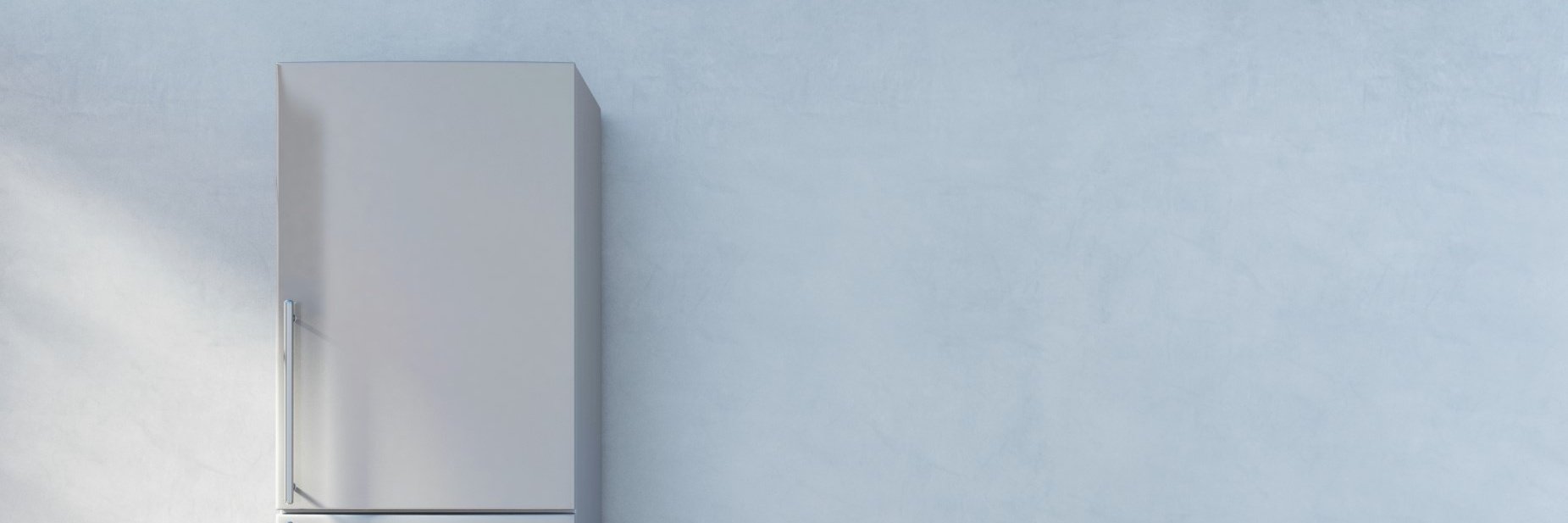 fridge Cropped.jpg