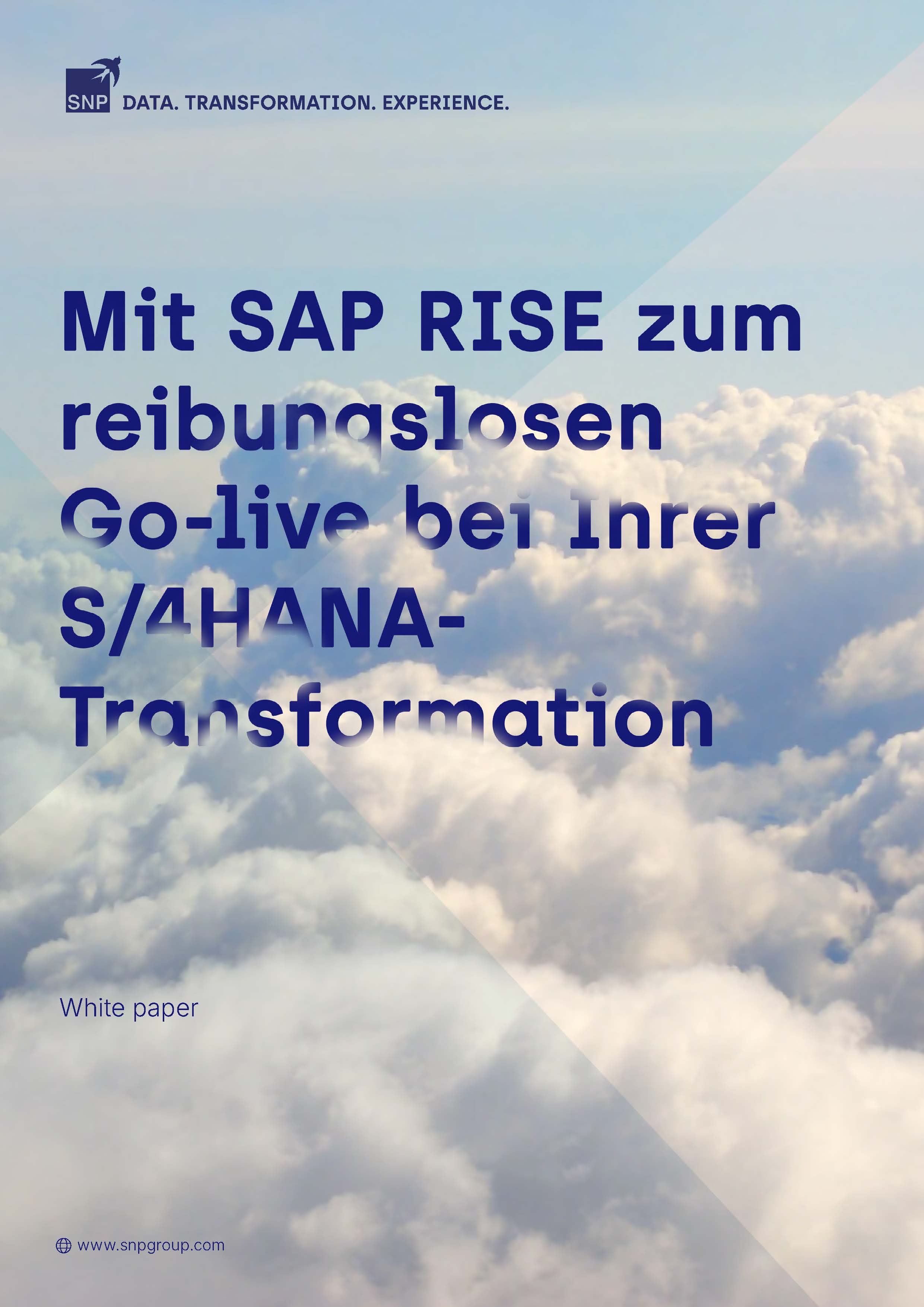 SNP White Paper Optimizing your SAP RISE DE 1.jpg