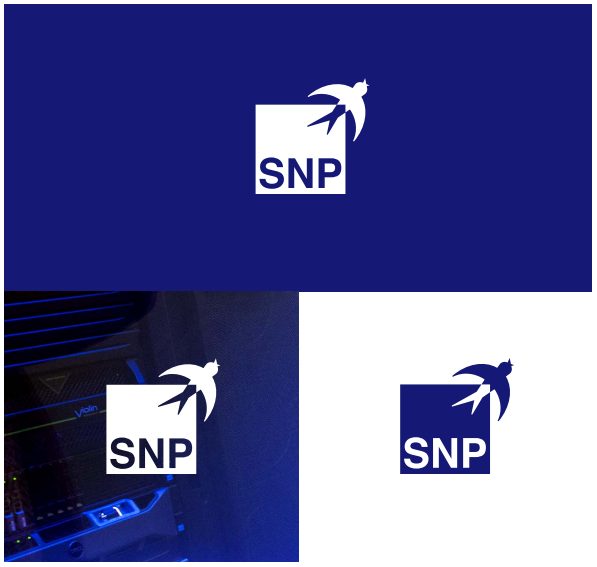 SNP-Logo-Variants.png
